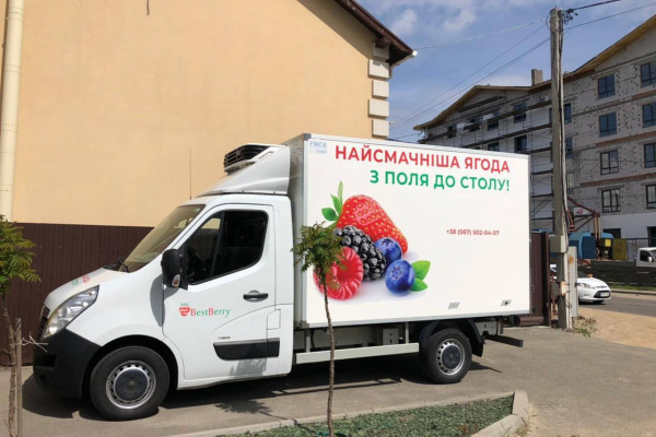 Продажа ягодной фермы 12 га в Киевской области